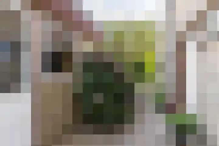 Heije Schaperloane 16 Feanwâlden thumbnail 59