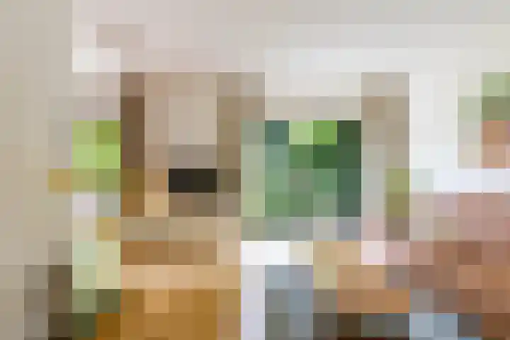 Heije Schaperloane 16 Feanwâlden thumbnail 7