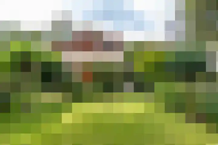 Heije Schaperloane 16 Feanwâlden thumbnail 70