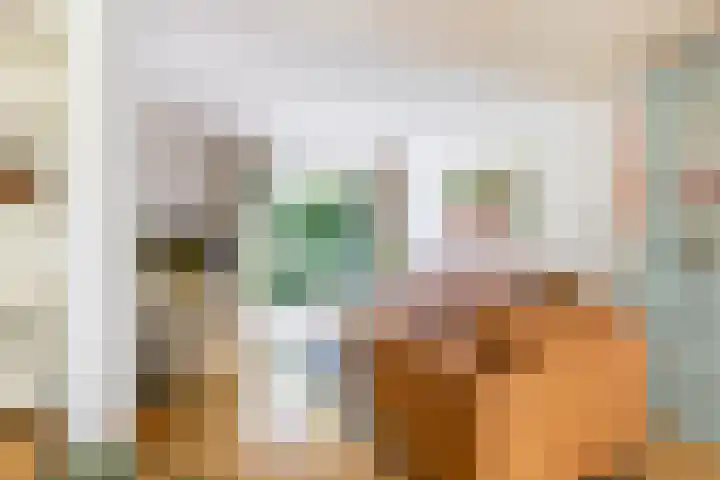 Heije Schaperloane 16 Feanwâlden thumbnail 9