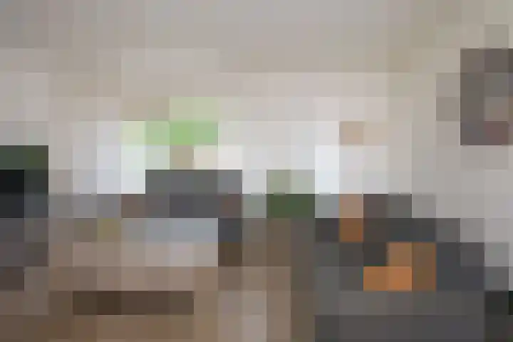Heijen 5 Almelo thumbnail 5