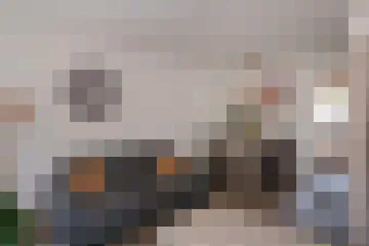 Heijen 5 Almelo thumbnail 8