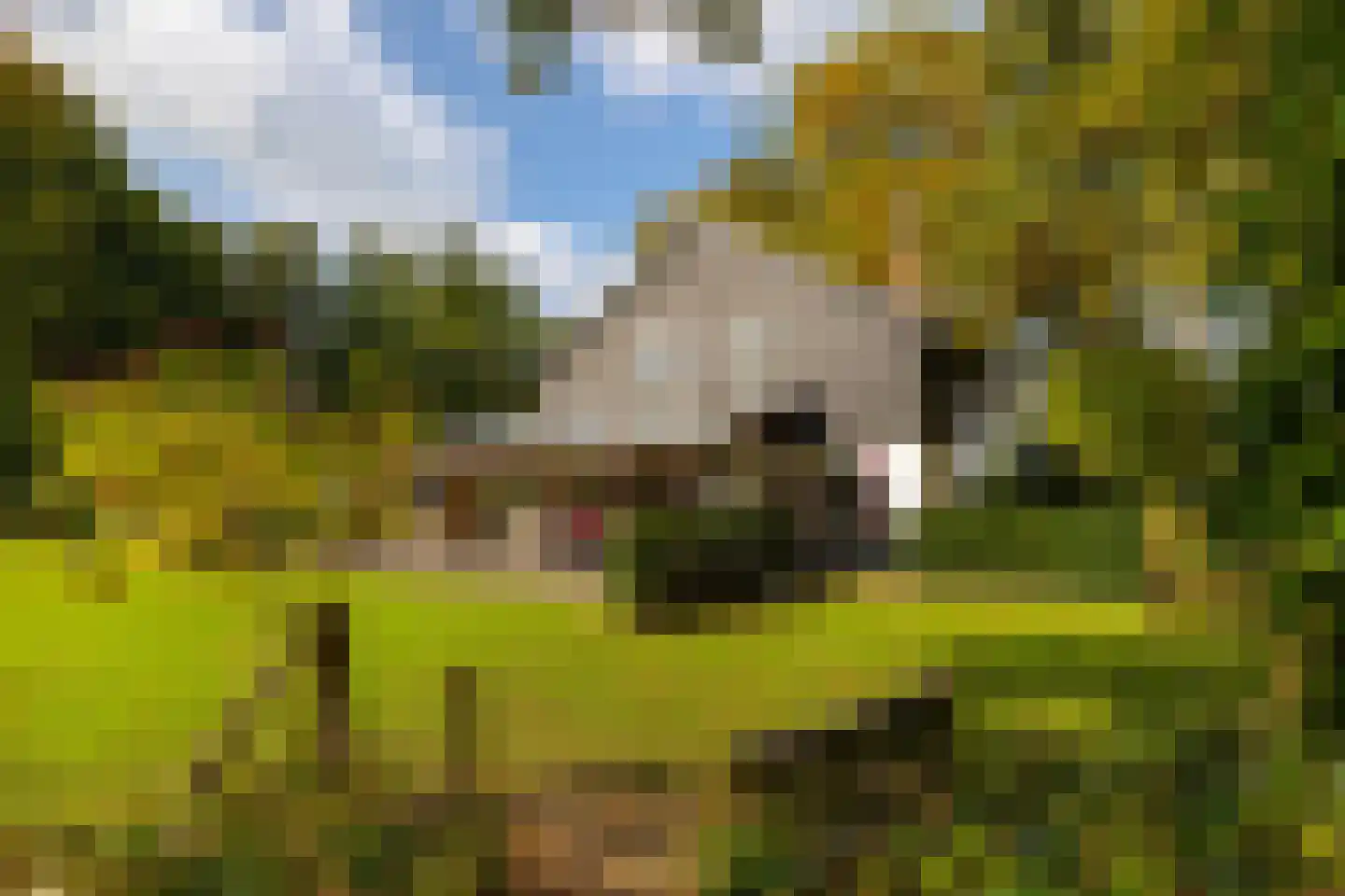 Heijendaalseweg 2 Vorden thumbnail 10