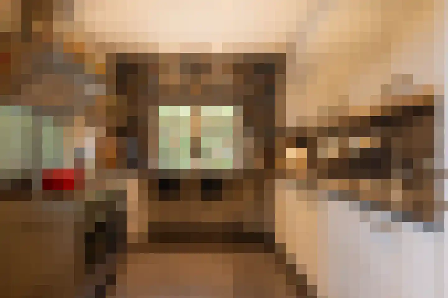 Heijendaalseweg 2 Vorden thumbnail 13