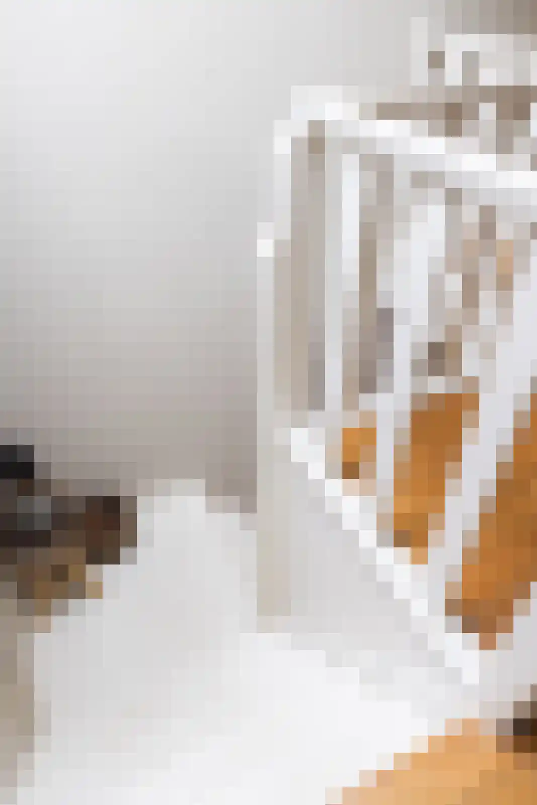 Heijendaalseweg 2 Vorden thumbnail 18