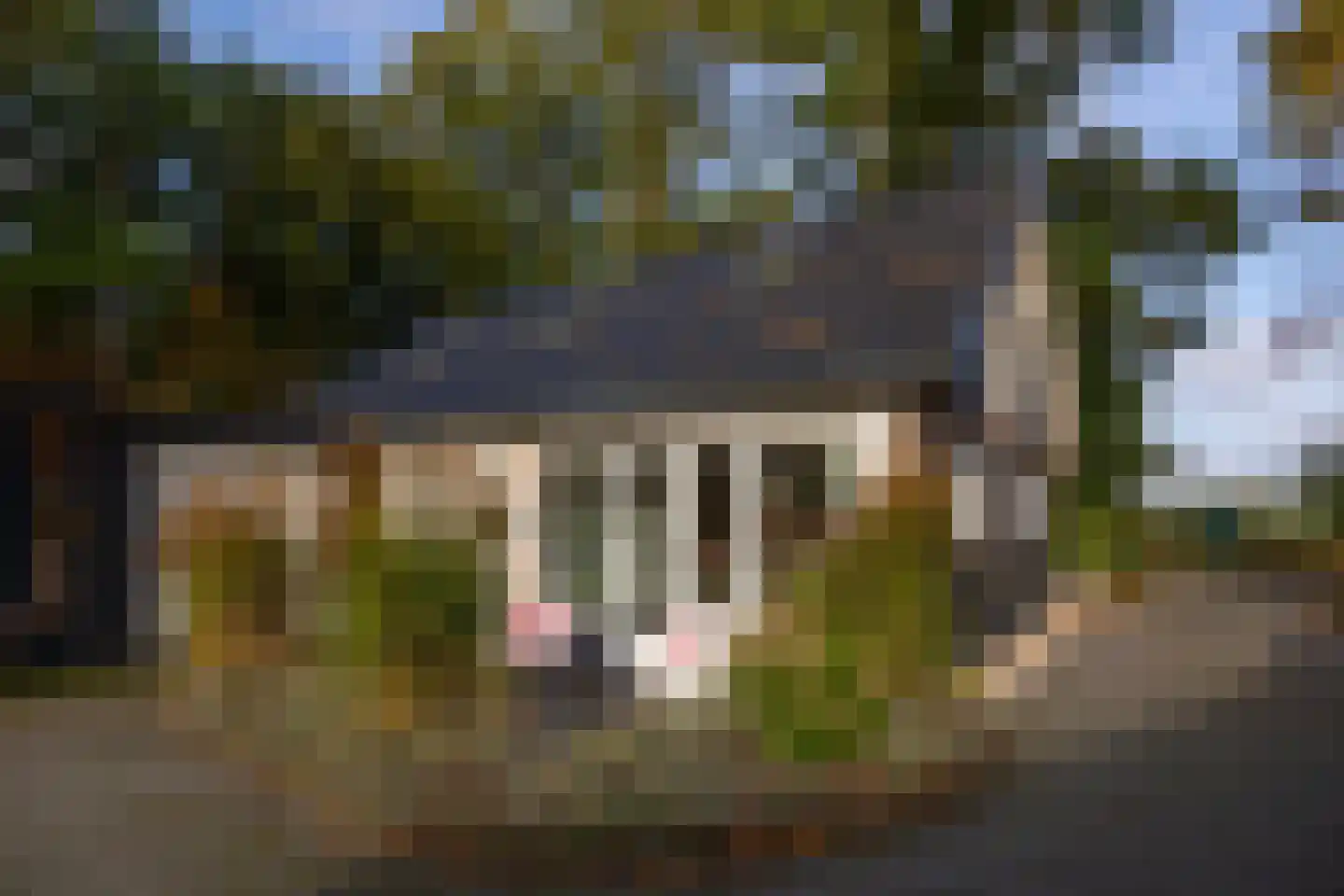 Heijendaalseweg 2 Vorden thumbnail 27