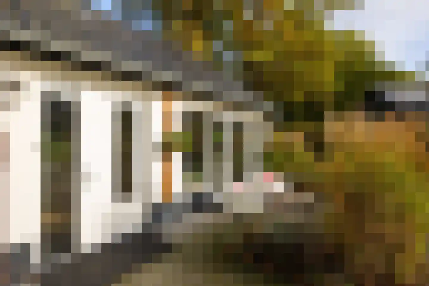 Heijendaalseweg 2 Vorden thumbnail 28