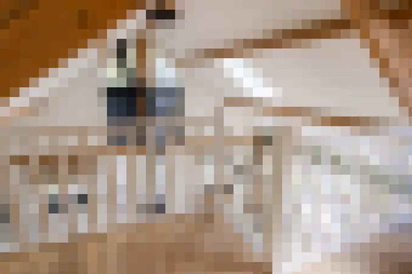 Heijendaalseweg 2 Vorden thumbnail 40