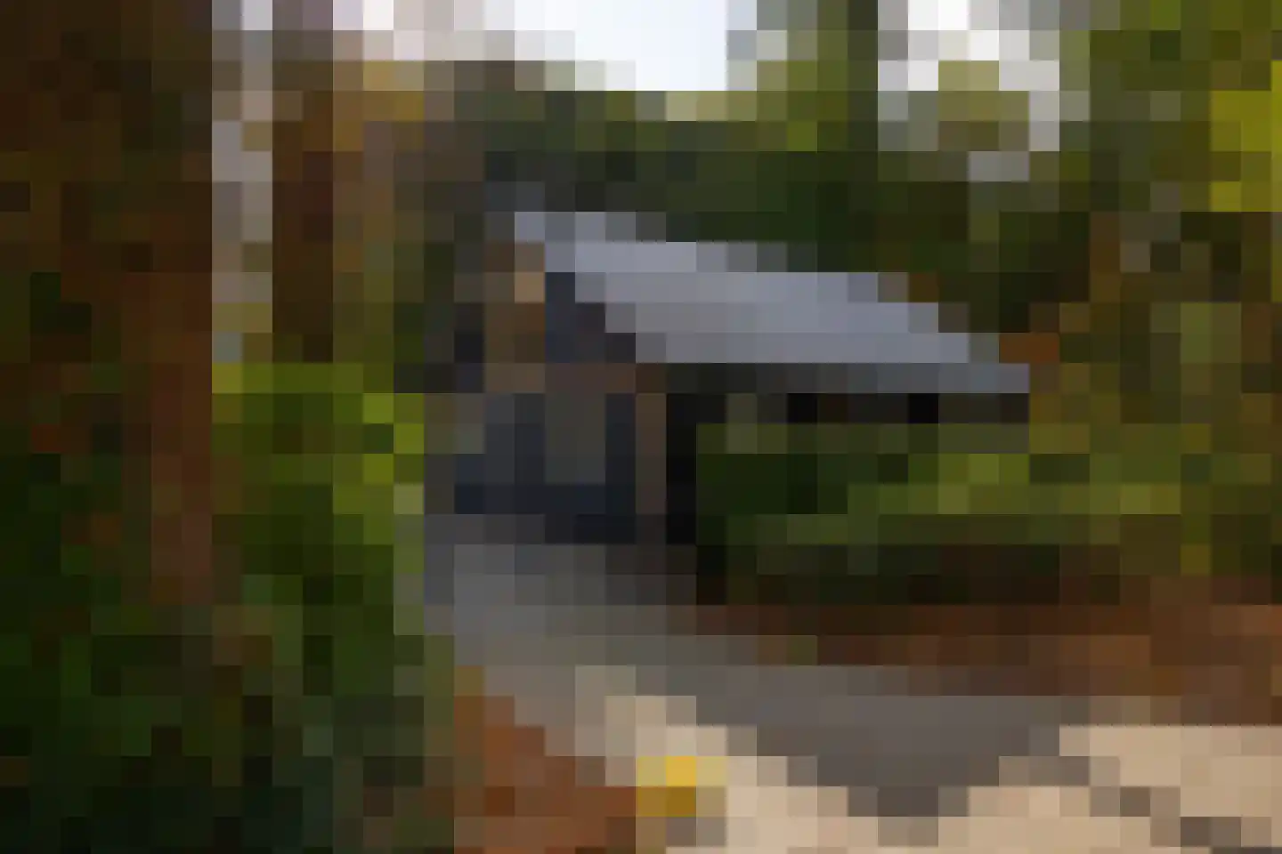 Heijendaalseweg 2 Vorden thumbnail 46