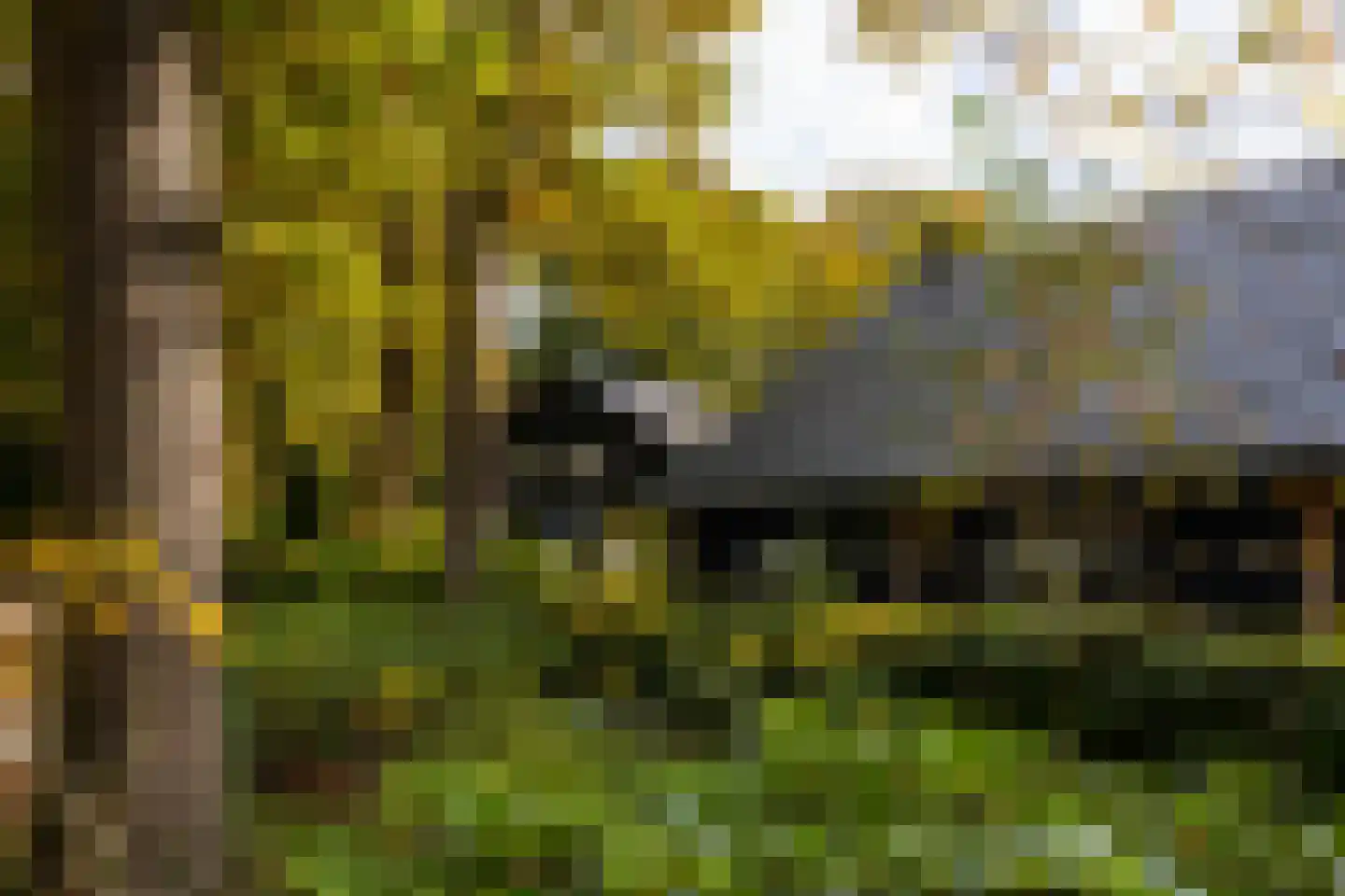 Heijendaalseweg 2 Vorden thumbnail 47