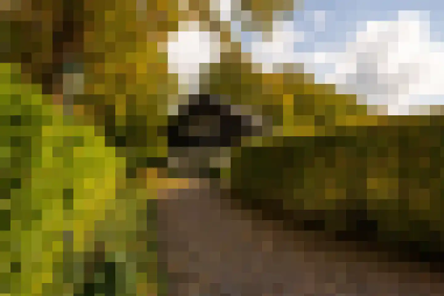 Heijendaalseweg 2 Vorden thumbnail 48