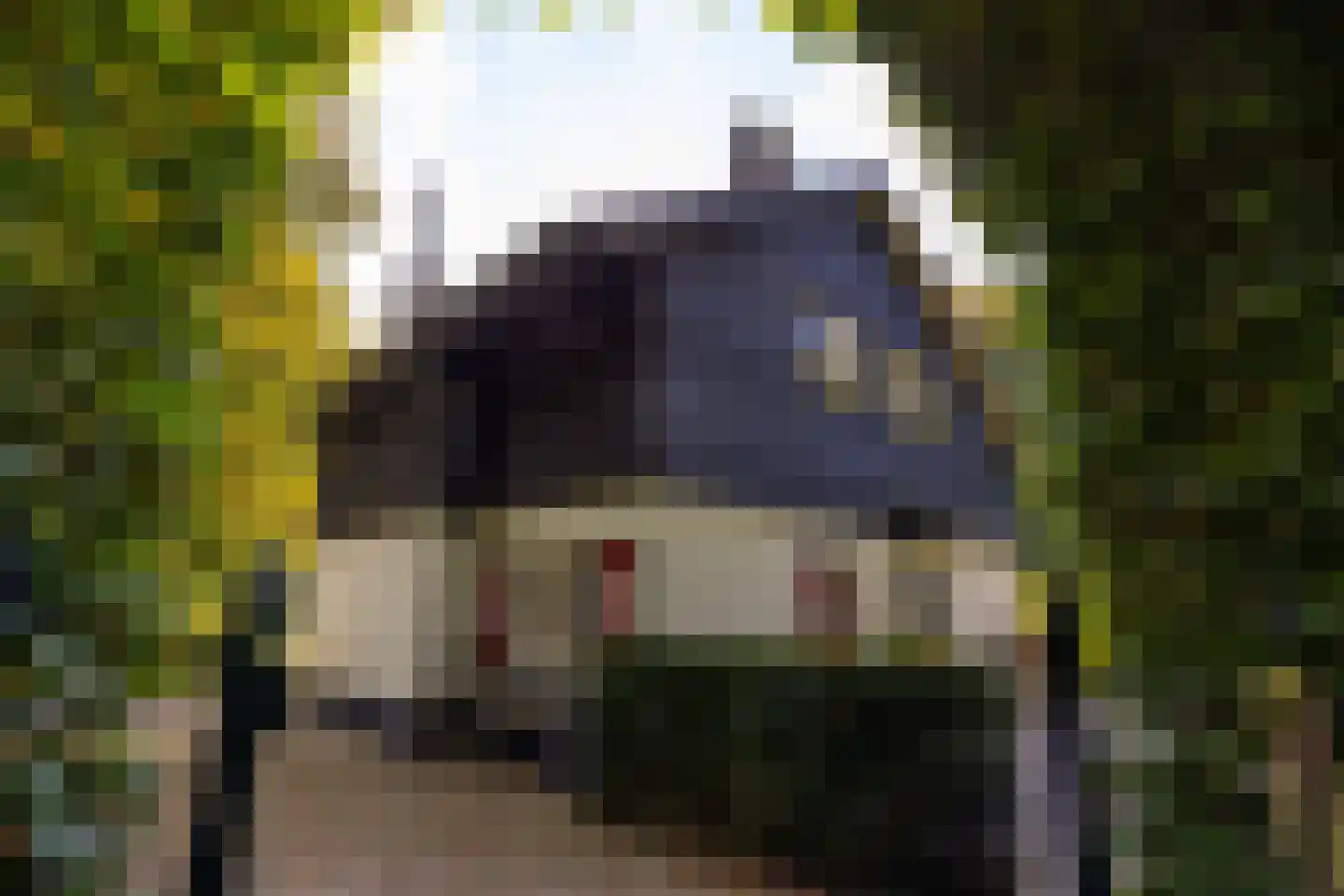 Heijendaalseweg 2 Vorden thumbnail 49