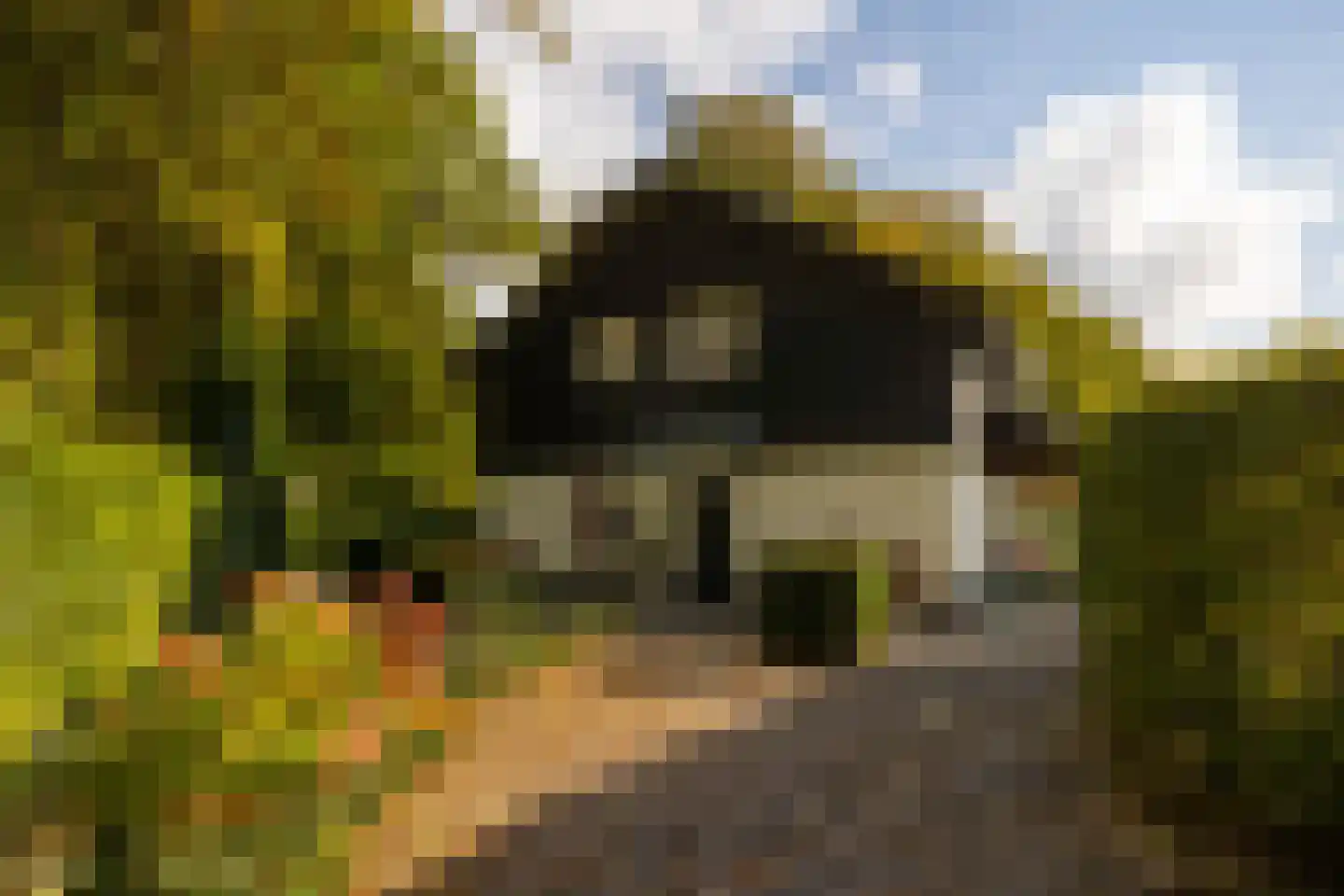 Heijendaalseweg 2 Vorden thumbnail 50