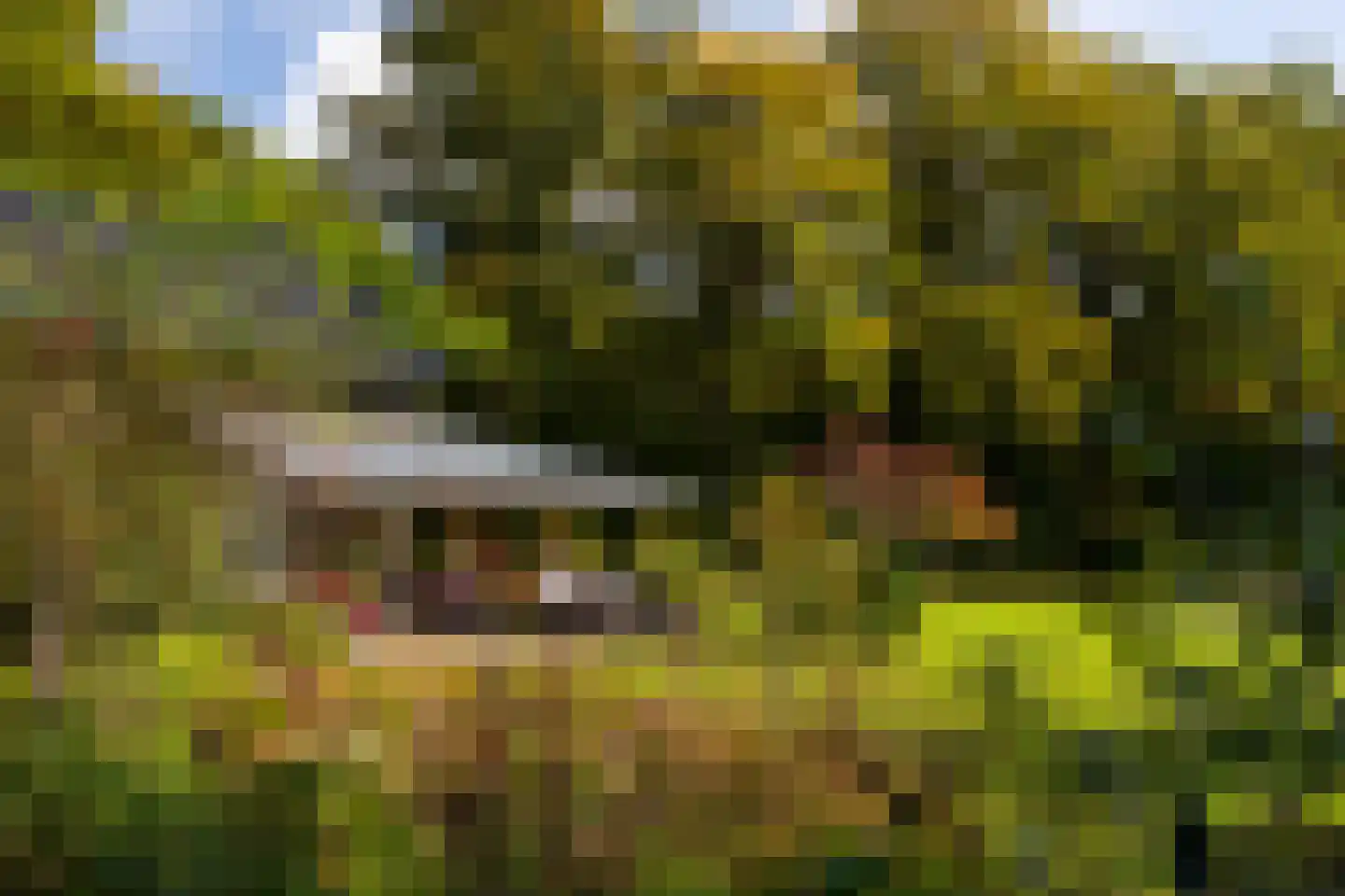 Heijendaalseweg 2 Vorden thumbnail 53