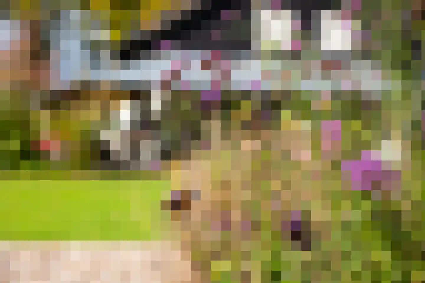 Heijendaalseweg 2 Vorden thumbnail 54