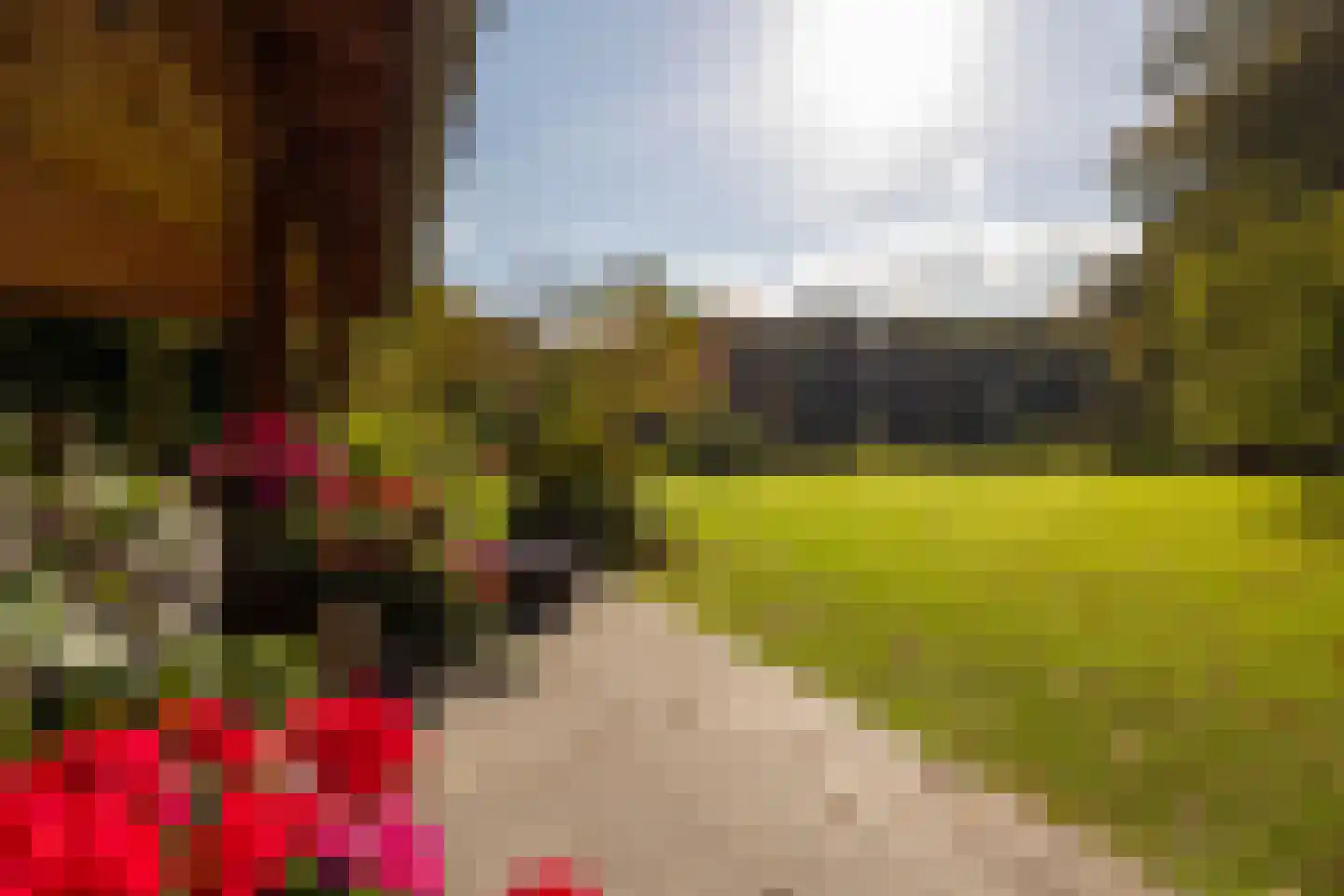 Heijendaalseweg 2 Vorden thumbnail 55