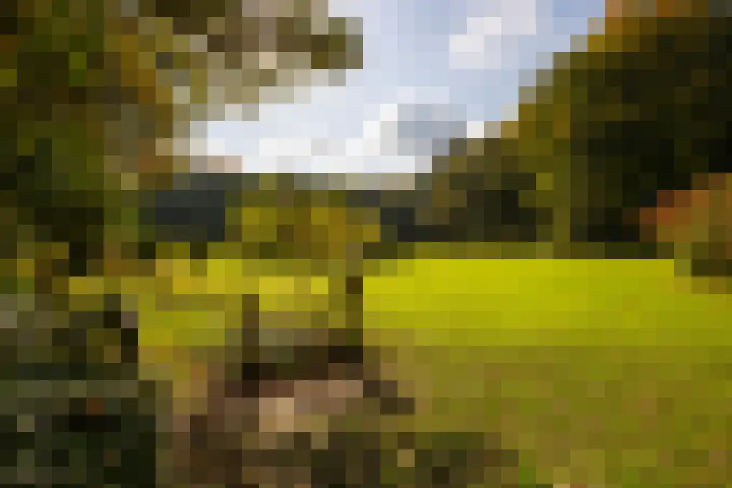 Heijendaalseweg 2 Vorden thumbnail 56
