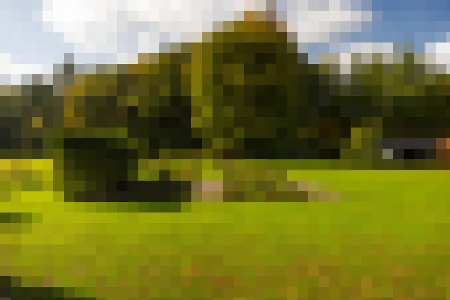 Heijendaalseweg 2 Vorden thumbnail 58