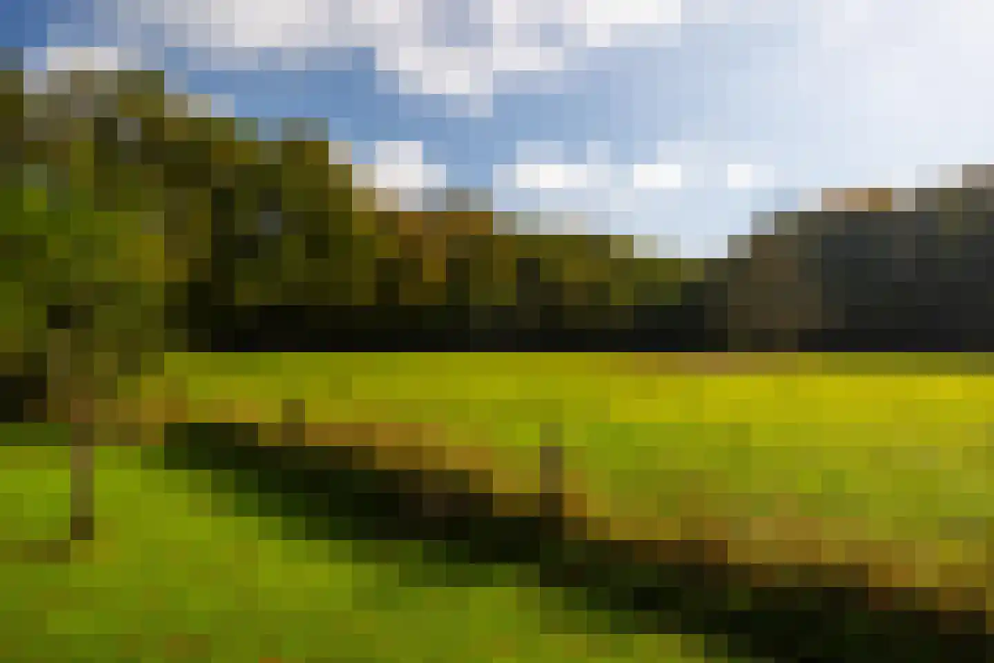 Heijendaalseweg 2 Vorden thumbnail 59