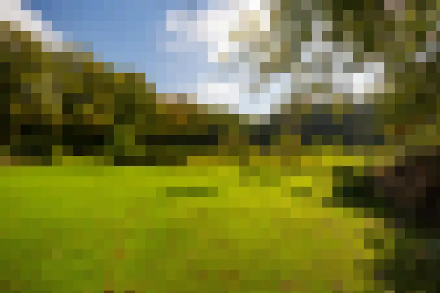 Heijendaalseweg 2 Vorden thumbnail 60