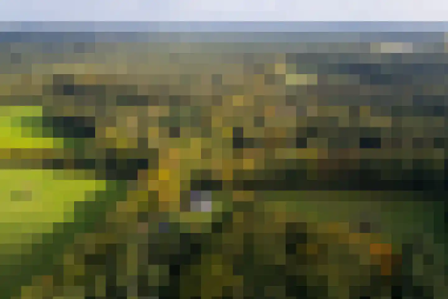Heijendaalseweg 2 Vorden thumbnail 61