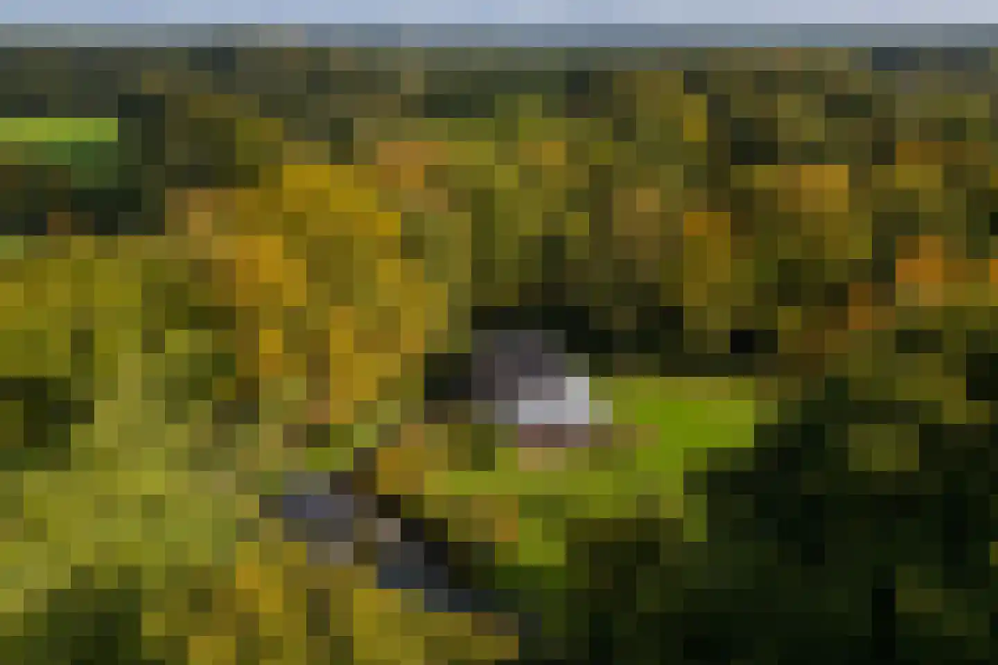 Heijendaalseweg 2 Vorden thumbnail 62
