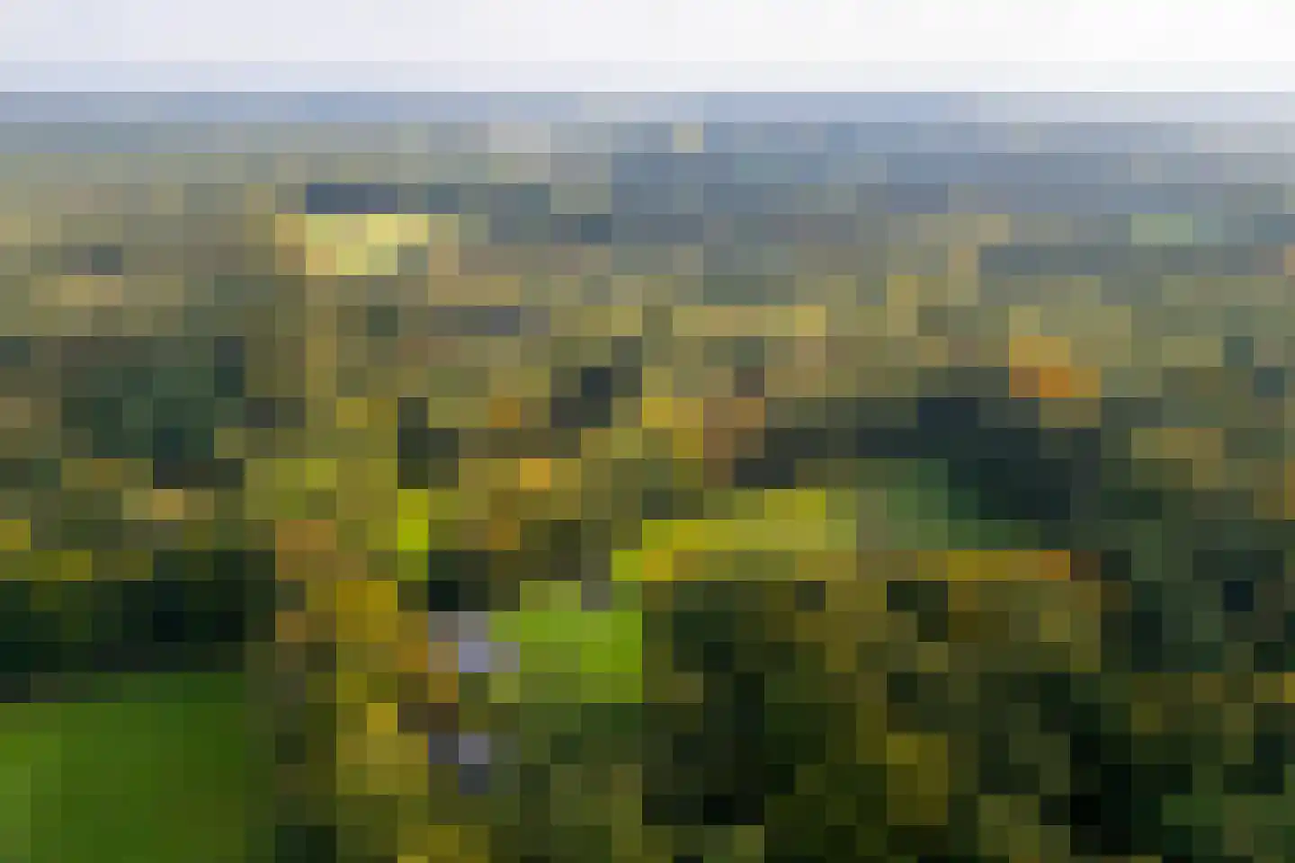 Heijendaalseweg 2 Vorden thumbnail 63