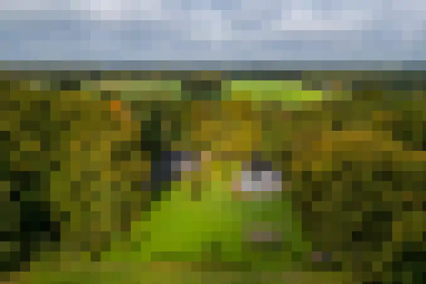 Heijendaalseweg 2 Vorden thumbnail 64