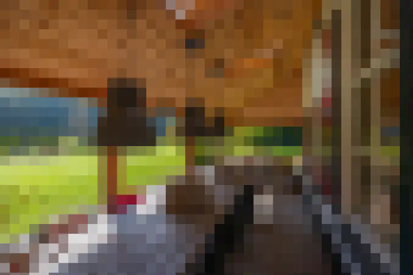 Heijendaalseweg 2 Vorden thumbnail 8