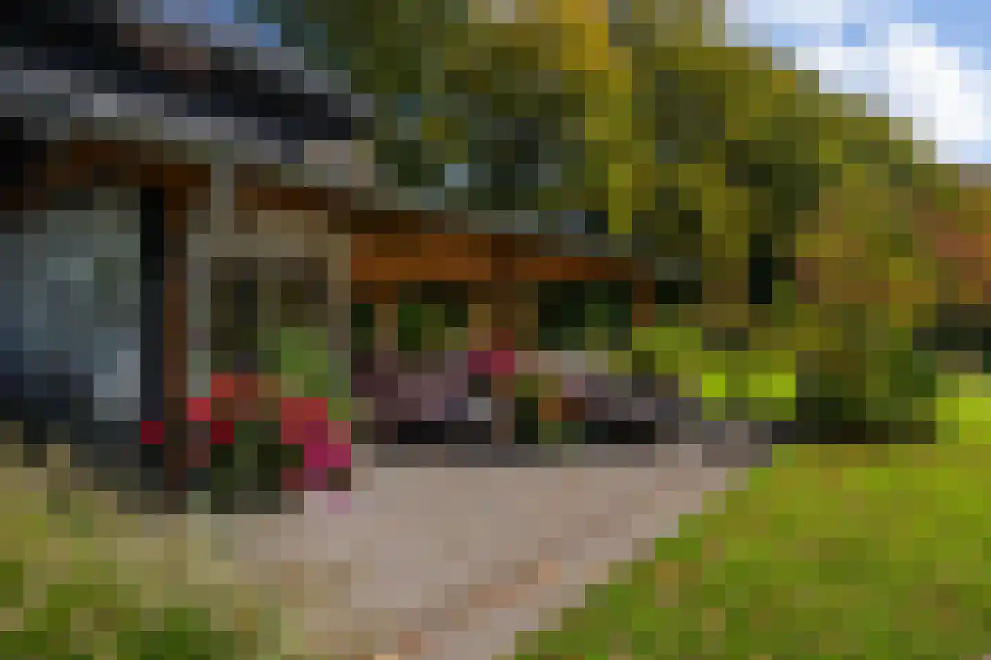Heijendaalseweg 2 Vorden thumbnail 9
