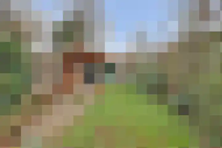 Heijenoordseweg 10 Arnhem thumbnail 30