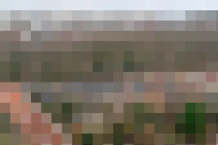 Heijenoordseweg 10 Arnhem thumbnail 33