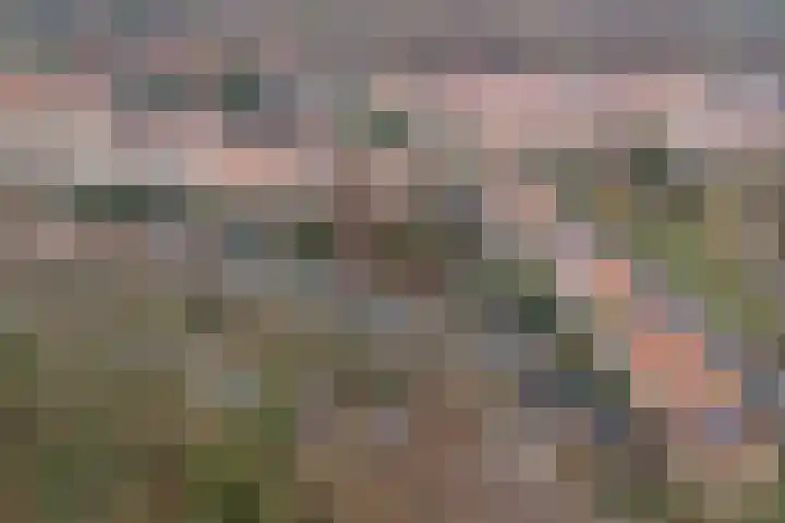 Heijenoordseweg 10 Arnhem thumbnail 36