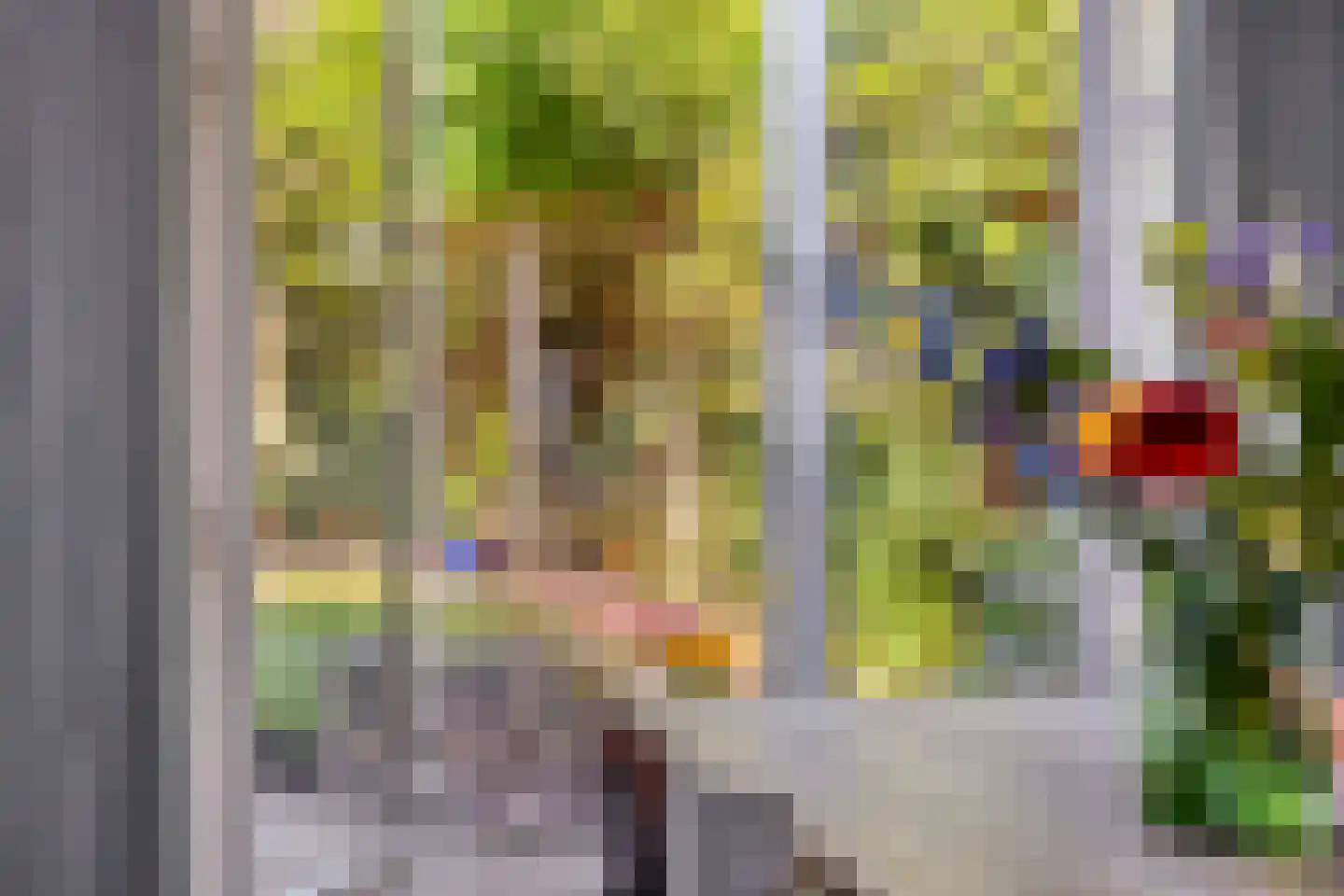Heijenoordseweg 34 Arnhem thumbnail 14