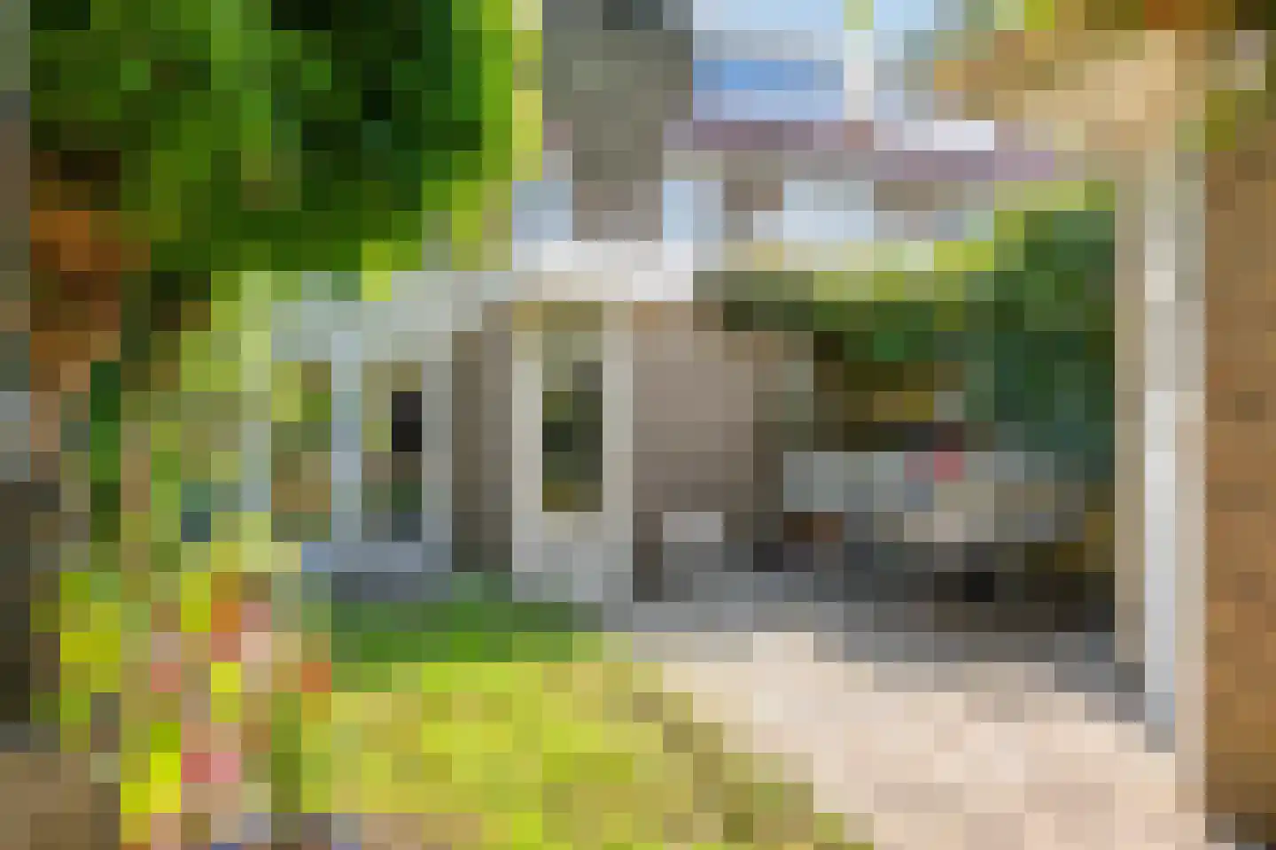 Heijenoordseweg 34 Arnhem thumbnail 17