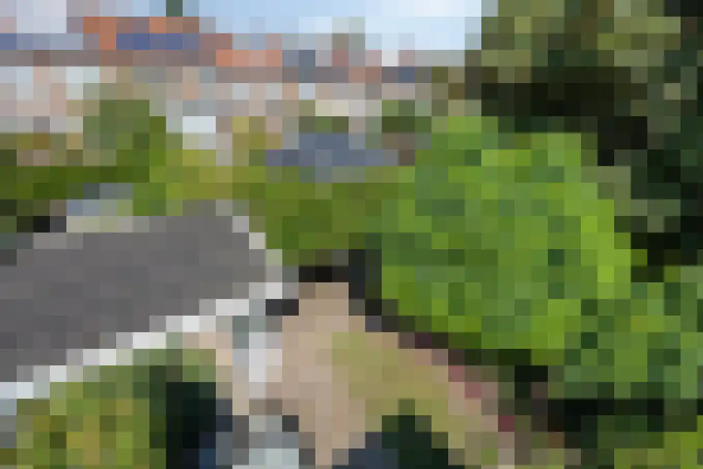 Heijenoordseweg 34 Arnhem thumbnail 20