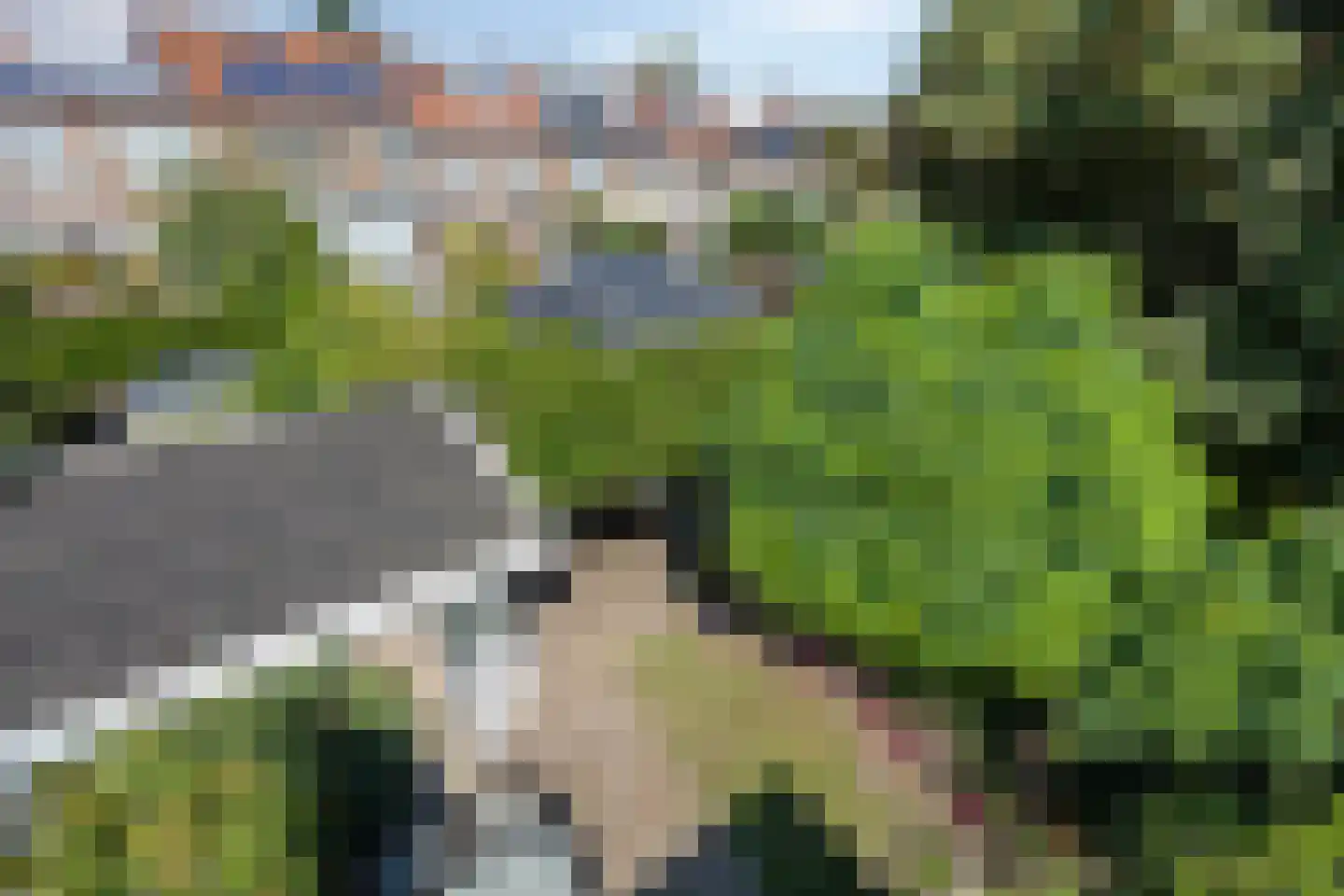 Heijenoordseweg 34 Arnhem thumbnail 21
