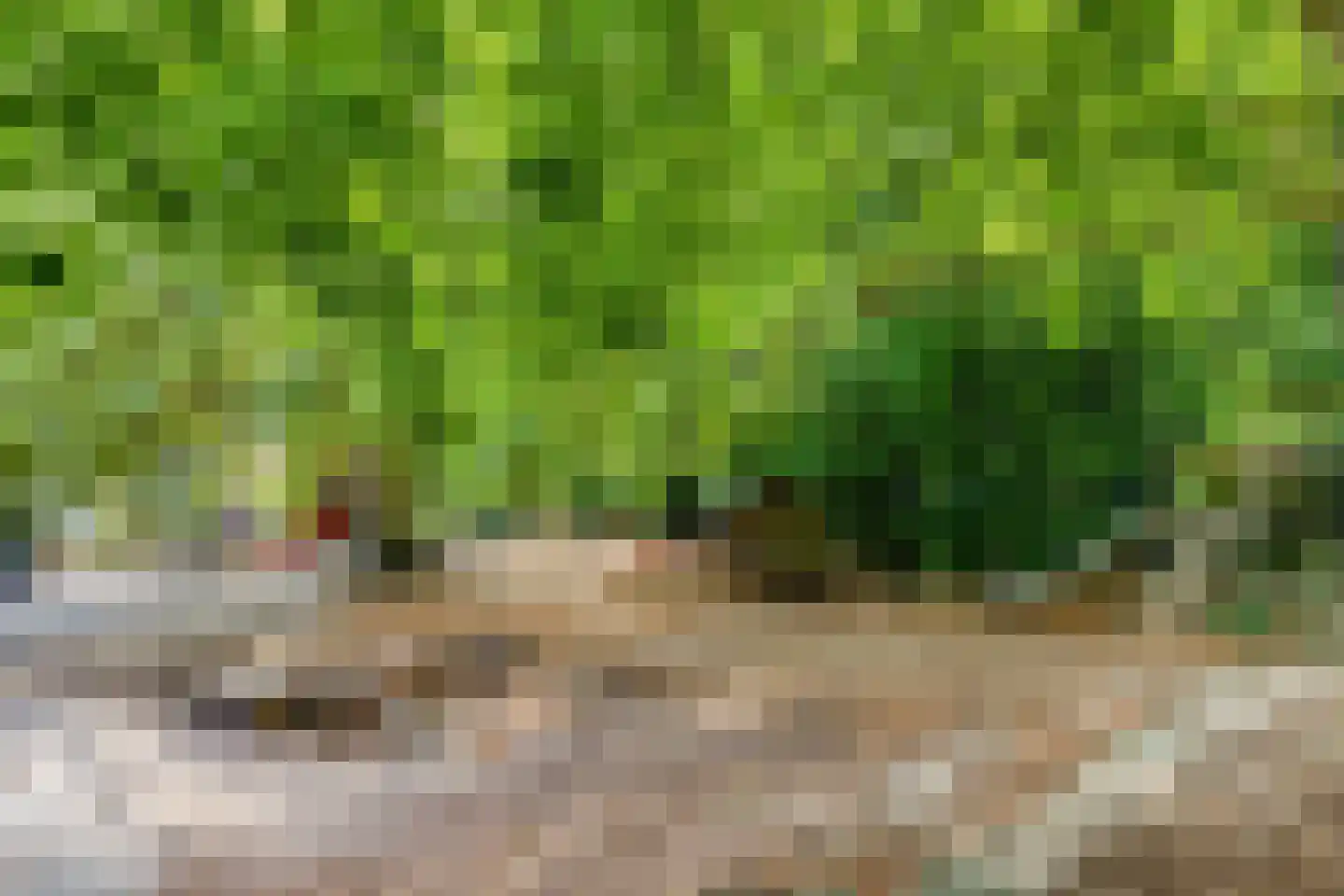Heijenoordseweg 34 Arnhem thumbnail 35