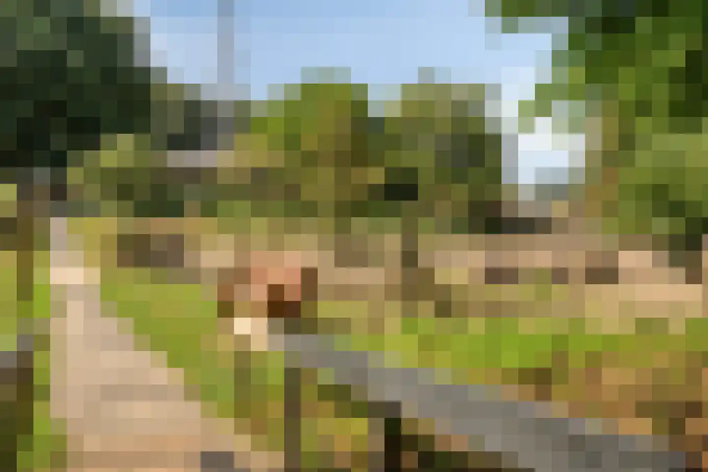 Heijenoordseweg 34 Arnhem thumbnail 37