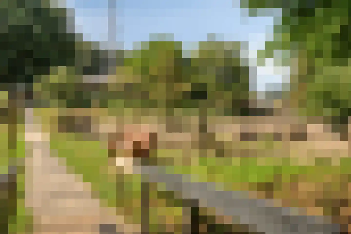 Heijenoordseweg 34 Arnhem thumbnail 39