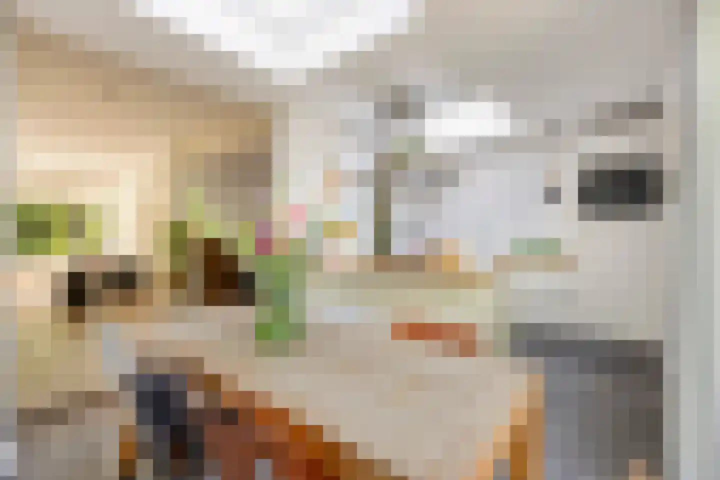 Heijenoordseweg 34 Arnhem thumbnail 7