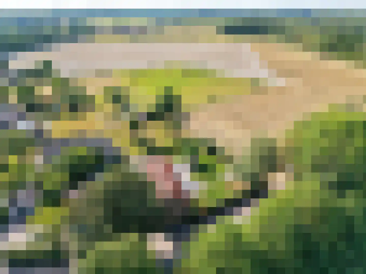 Heijenratherweg 8 Heijenrath thumbnail 4