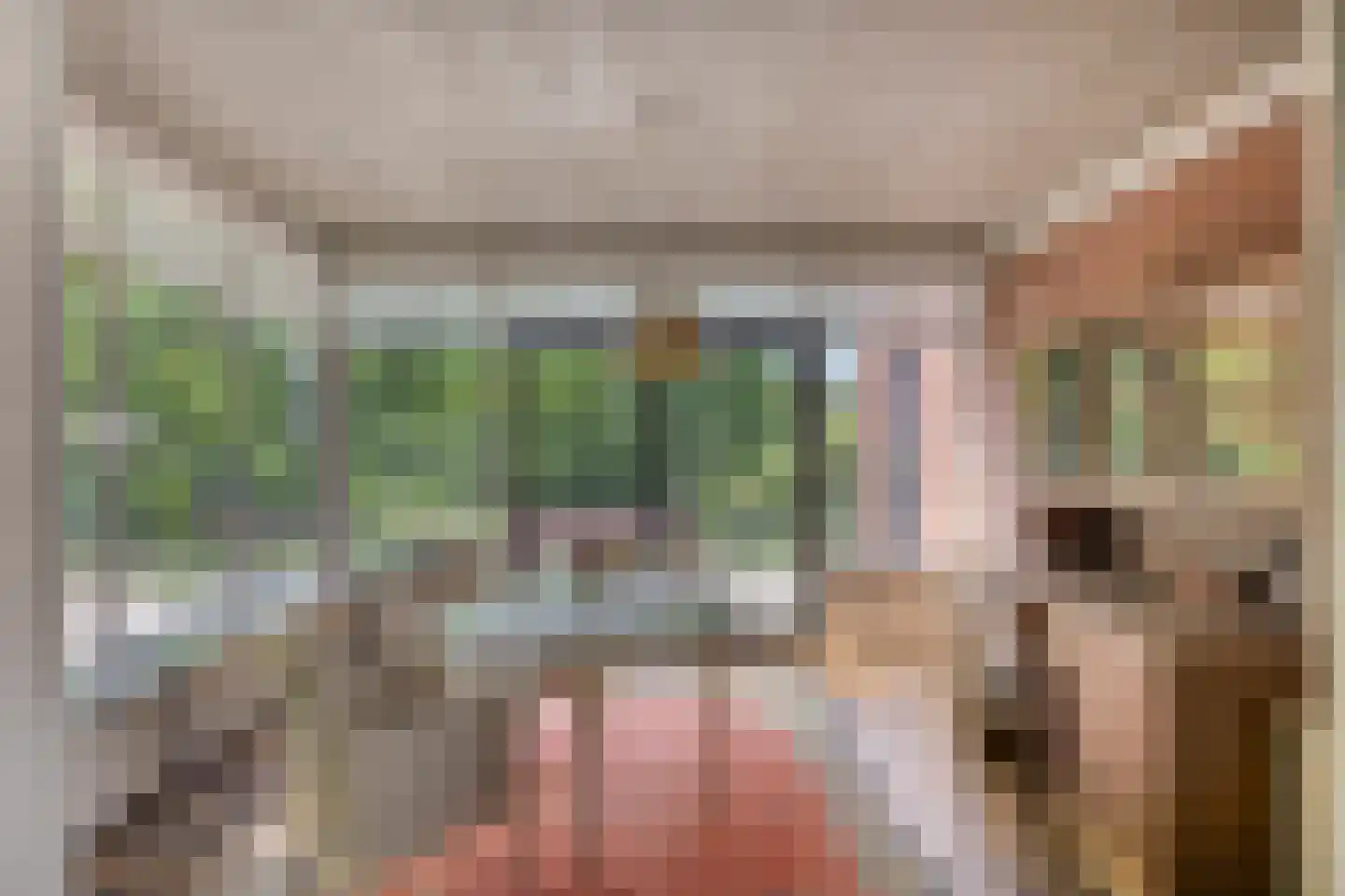 Heijenseweg 15 Gennep thumbnail 18