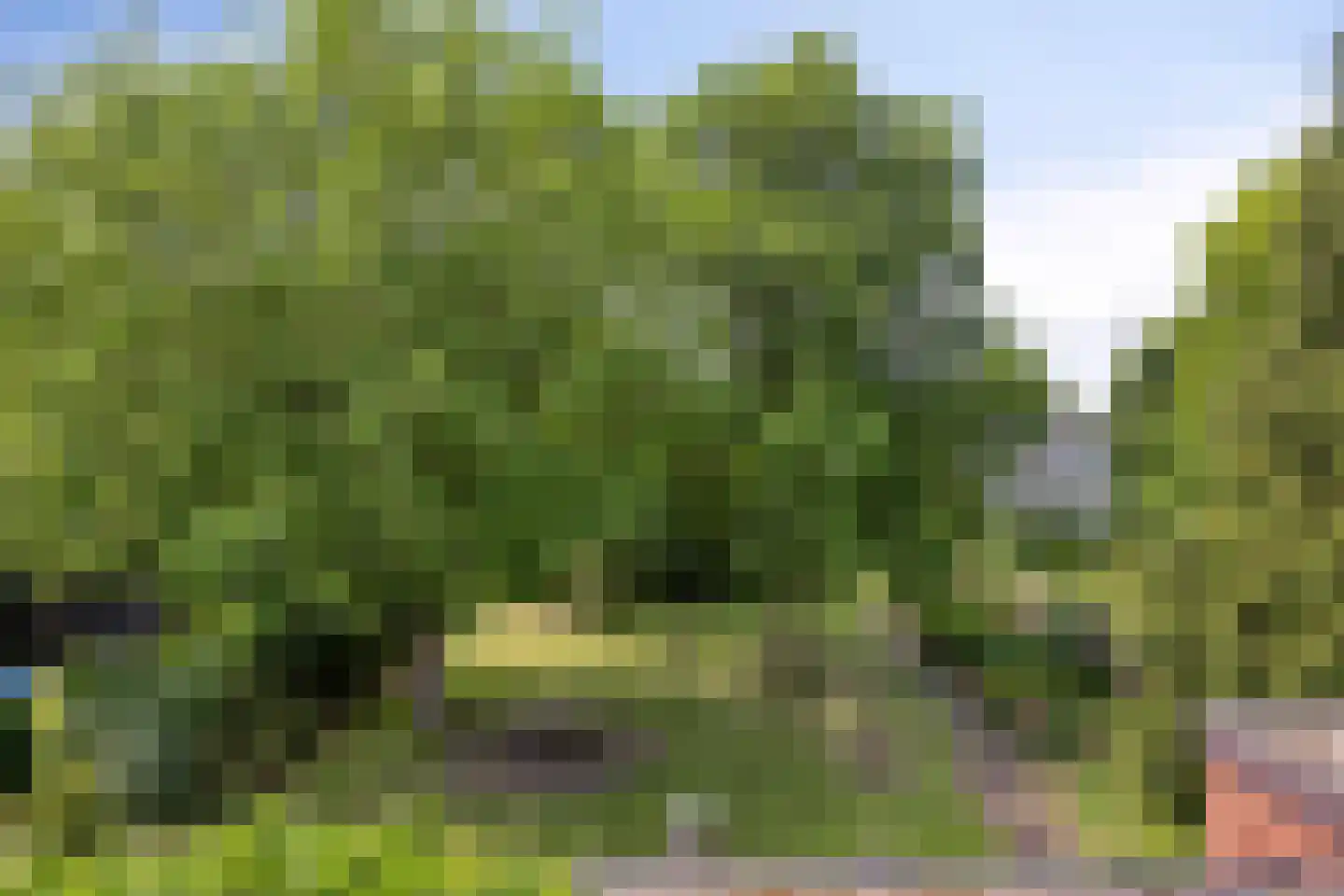 Heijenseweg 15 Gennep thumbnail 45