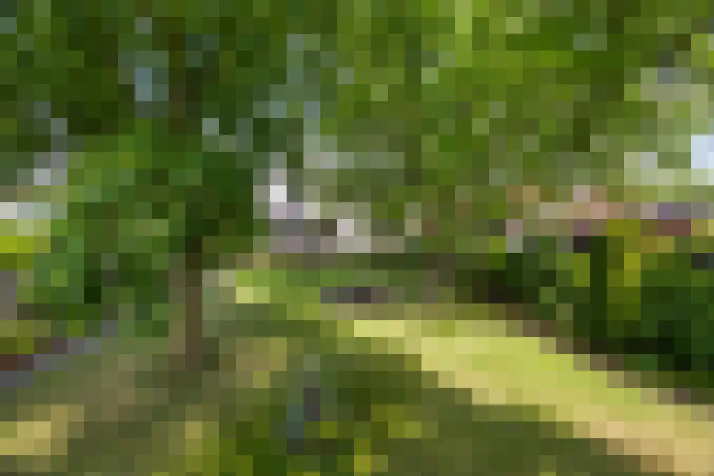 Heijenseweg 15 Gennep thumbnail 63