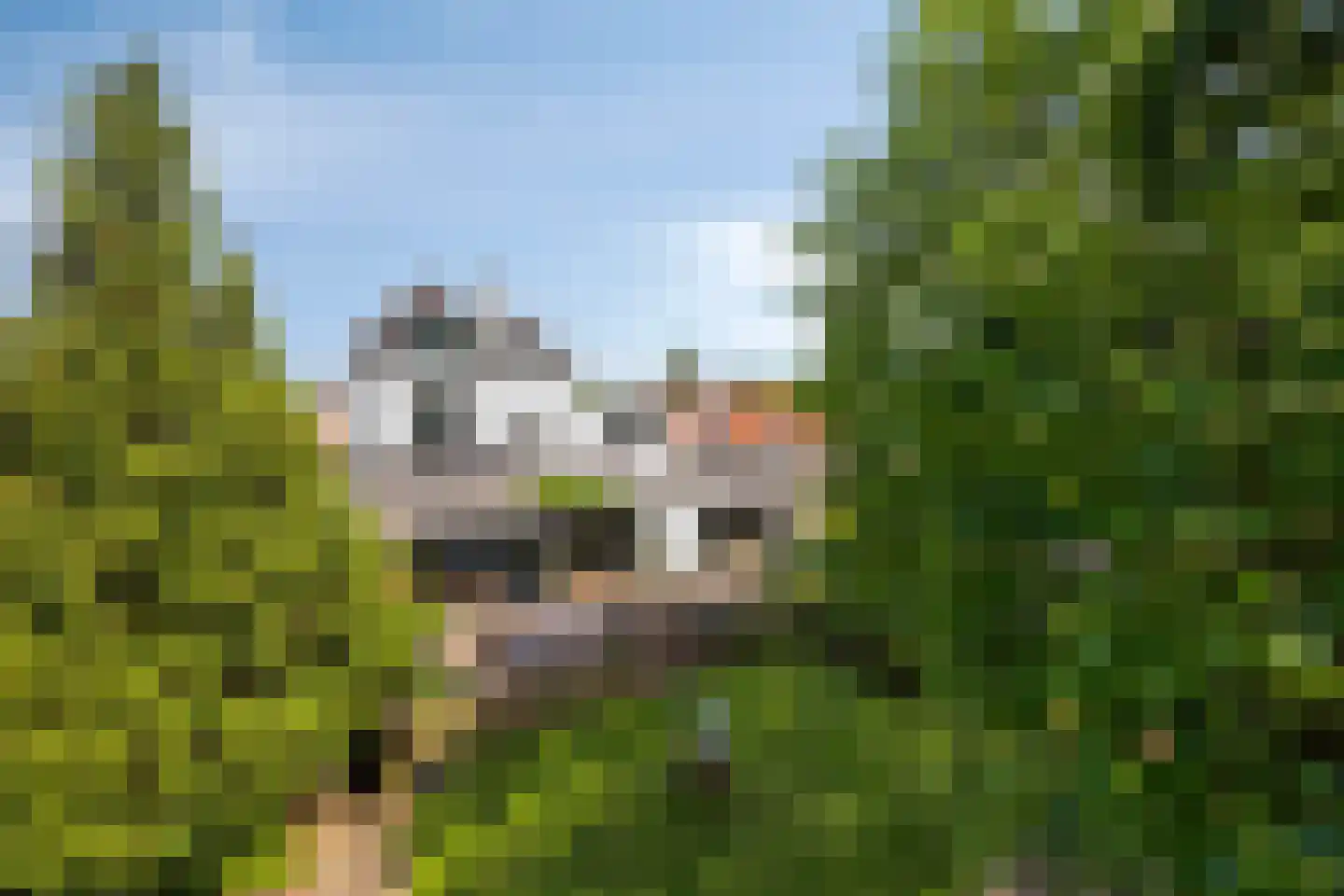 Heijenseweg 15 Gennep thumbnail 64