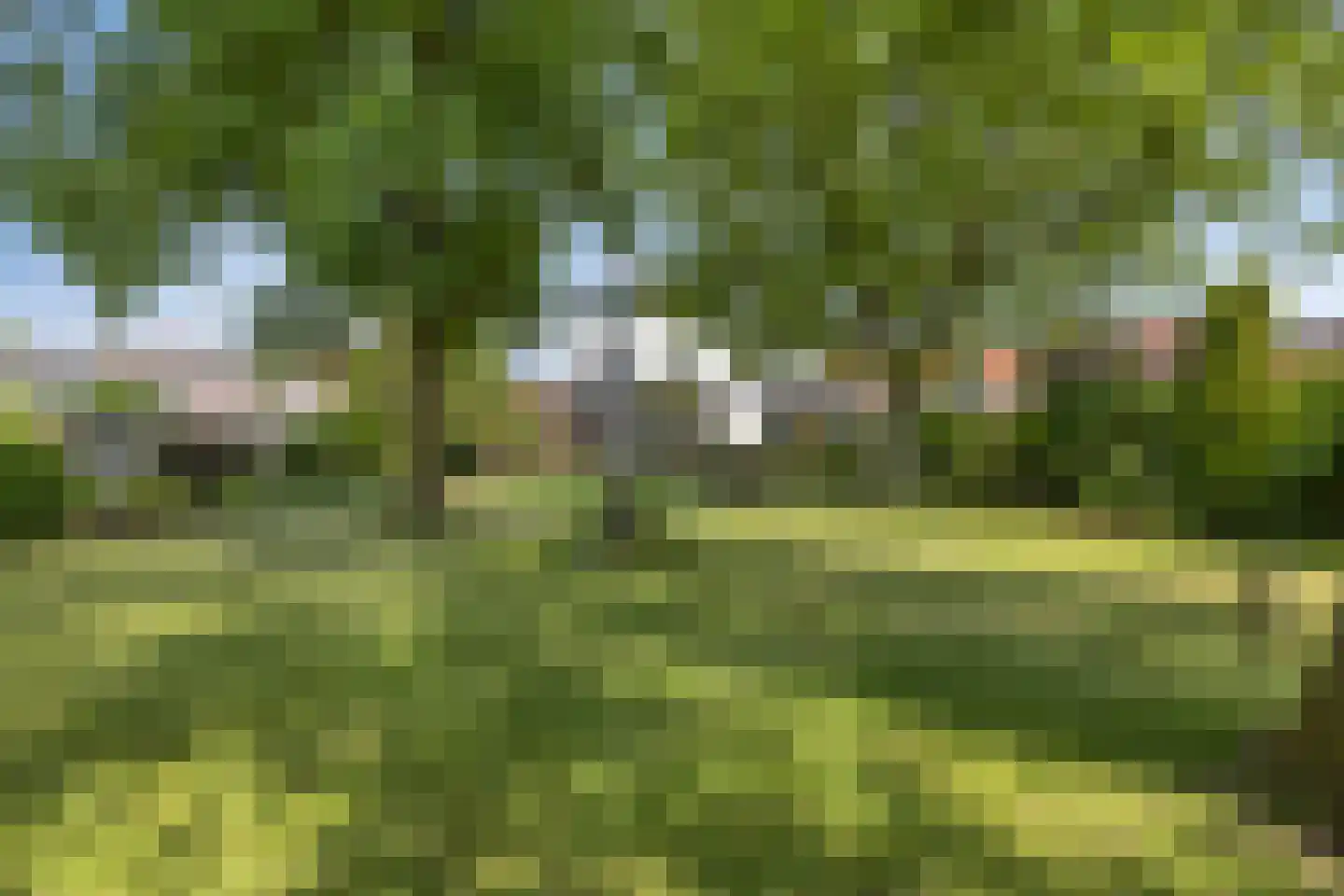 Heijenseweg 15 Gennep thumbnail 65