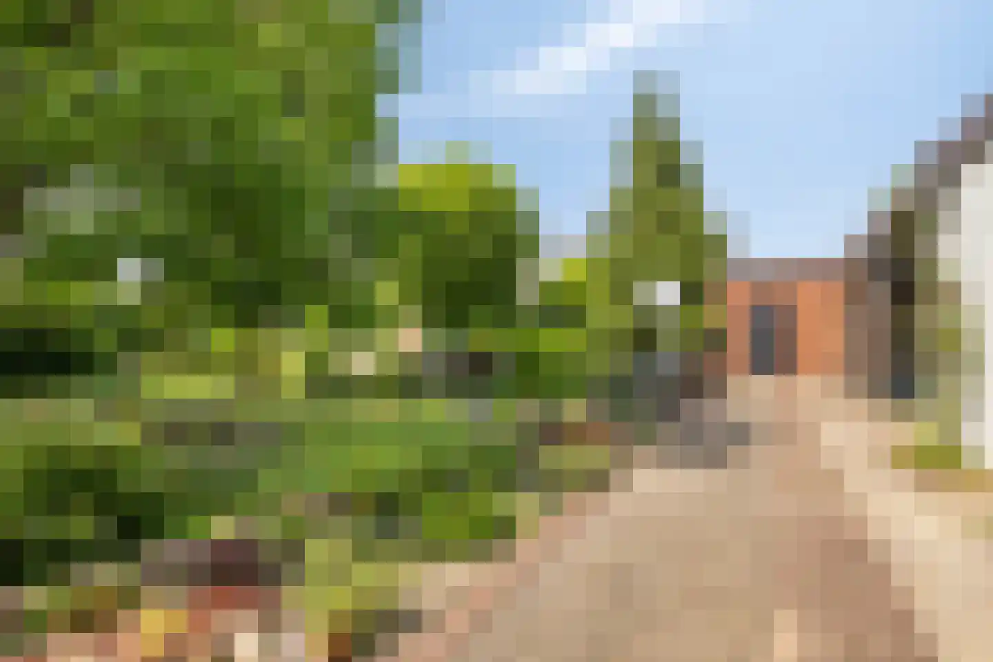 Heijenseweg 15 Gennep thumbnail 69