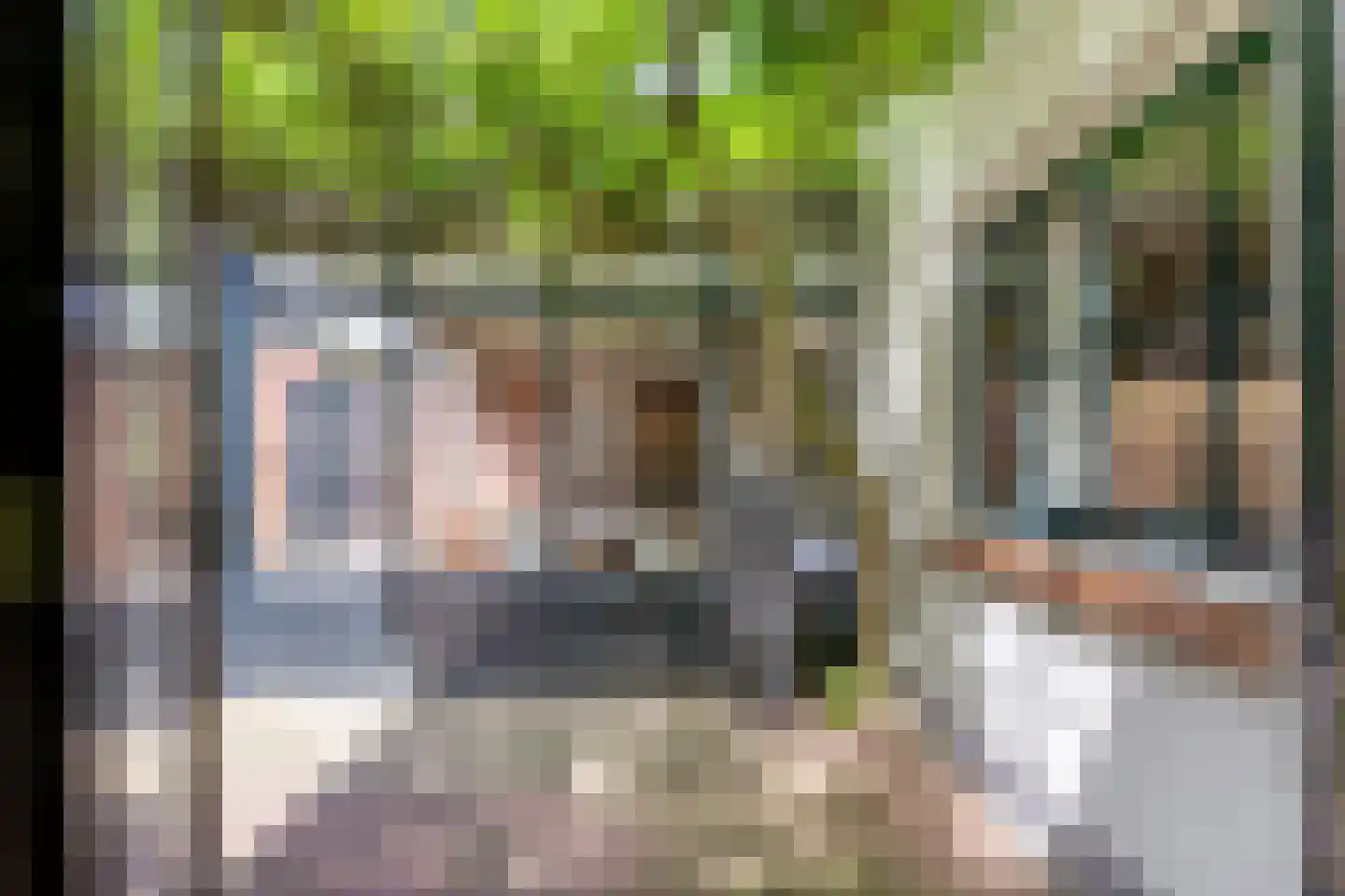Heijenseweg 15 Gennep thumbnail 71