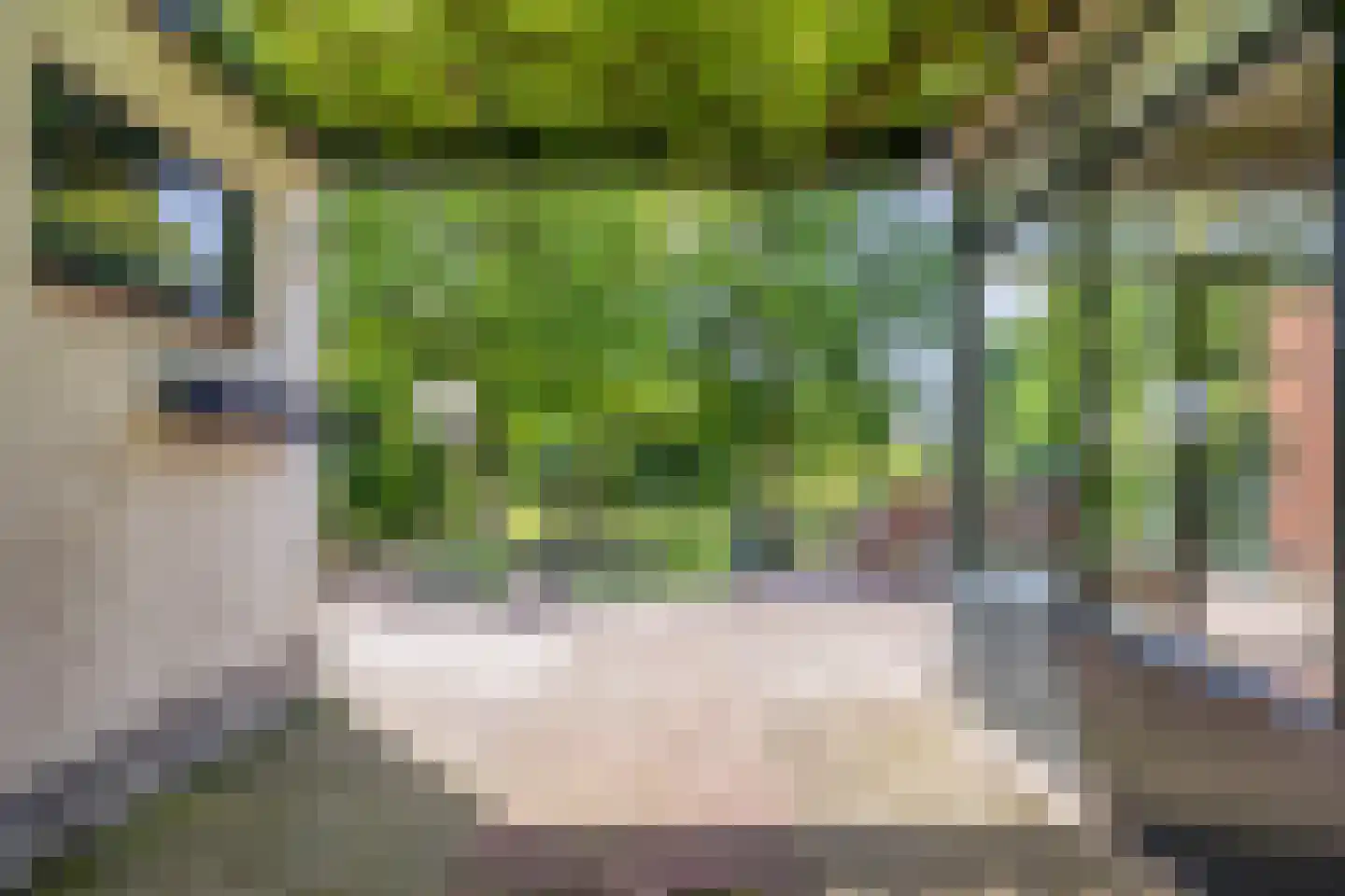Heijenseweg 15 Gennep thumbnail 72